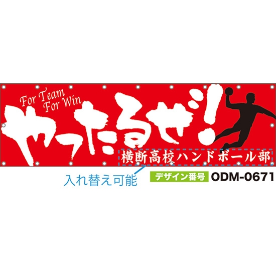 【別注】名入れ応援幕(横型) やったるぜ!For Team For Win (赤) ODM-0671【受注生産】