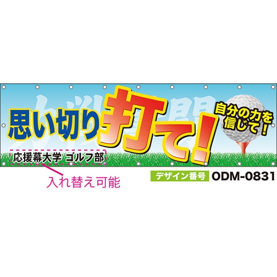 【別注】名入れ応援幕(横型) 思い切り打て!自分の力を信じて!力戦奮闘 (水色) ODM-0831【受注生産】