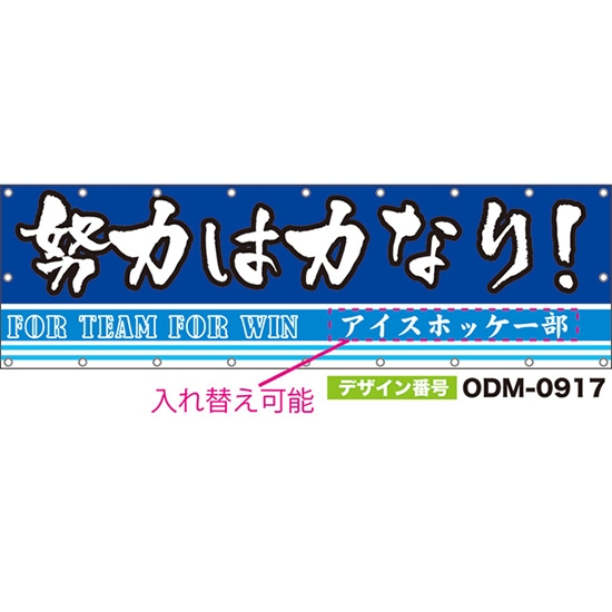 【別注】名入れ応援幕（横型） 努力は力なり FOR TEAM FOR WIN （青） ODM-0917【受注生産】