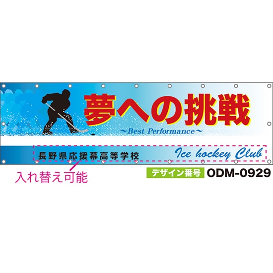 【別注】名入れ応援幕（横型） 夢への挑戦 Best Performance （水色） ODM-0929【受注生産】