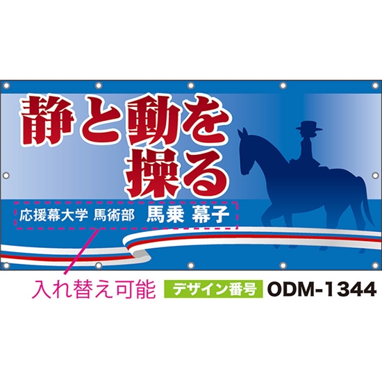 【別注】名入れ応援幕(四角型) 静と動を操る (青) ODM-1344【受注生産】