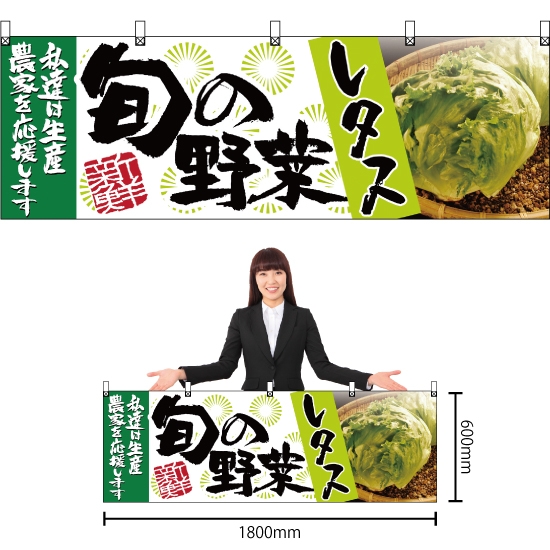 横幕 レタス 旬の野菜 No.63004