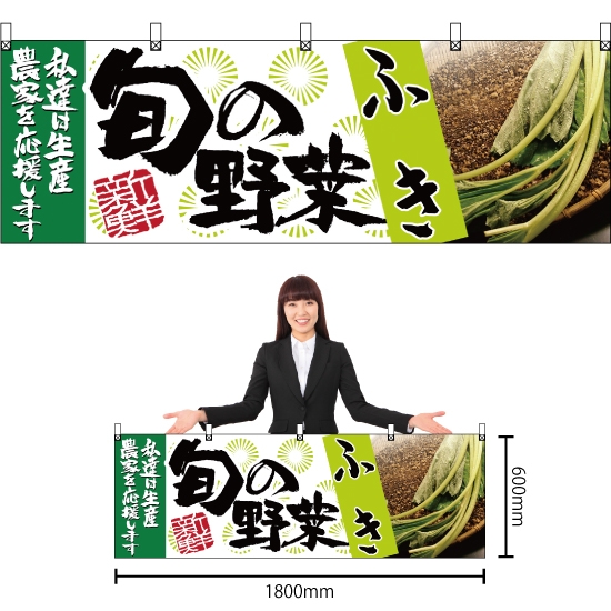 横幕 ふき 旬の野菜 No.63005