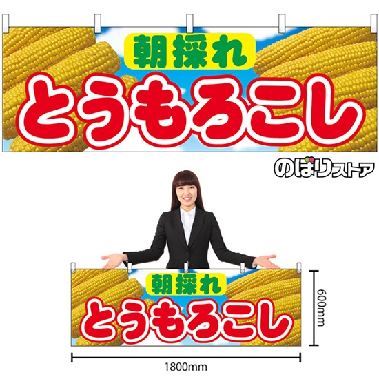 横幕 とうもろこし 朝採れ （写真・青） No.54893