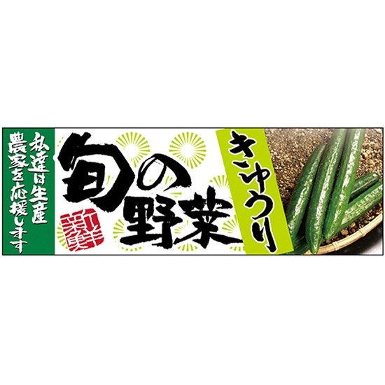 パネル 旬の野菜 きゅうり No.24108