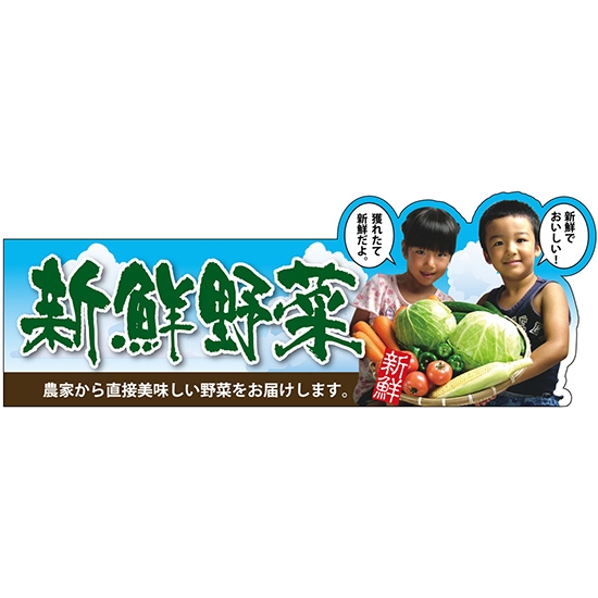 変型パネル 新鮮野菜 No.63978