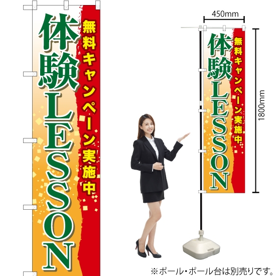 のぼり旗 体験LESSON TNS-903