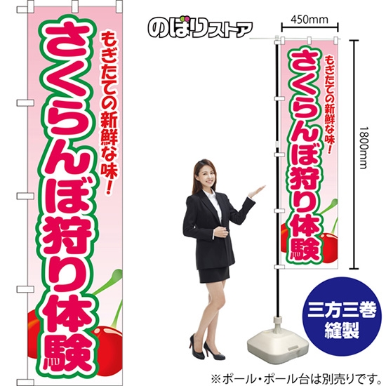 スマートのぼり さくらんぼ狩り体験 もぎたての新鮮な味！ （ピンク） YNS-8720